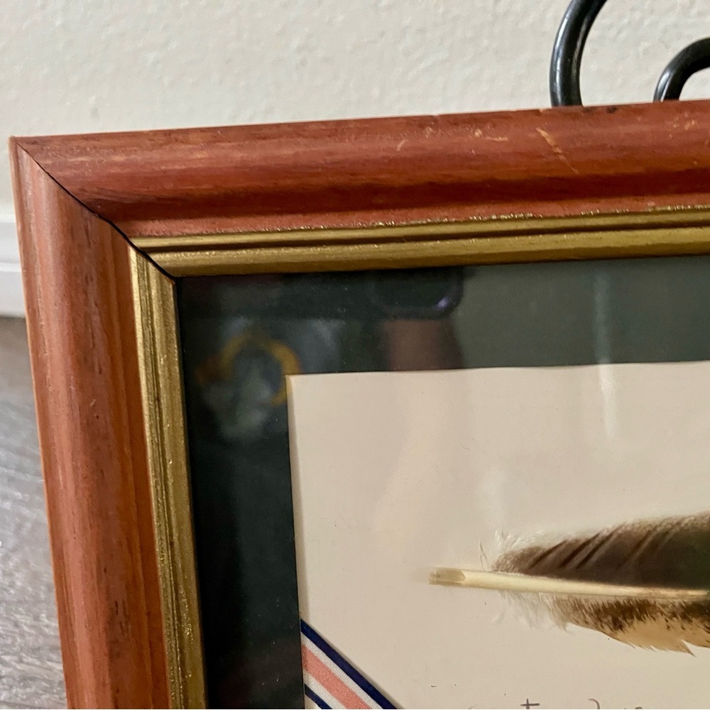 Framed Costa Rica Artwork with Wooden Frame hand painted on Bird Feather 7/13 in - Picture 4 of 11